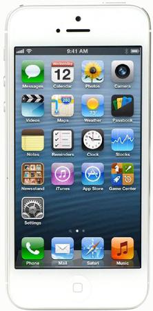 Смартфон Apple iPhone 5 32Gb White & Silver - Омутнинск