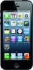 Apple iPhone 5 16GB - Омутнинск