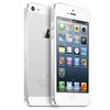 Apple iPhone 5 64Gb white - Омутнинск